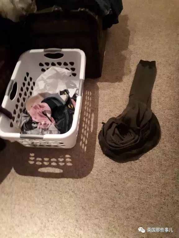 你家老公有多笨,你老公有多懒