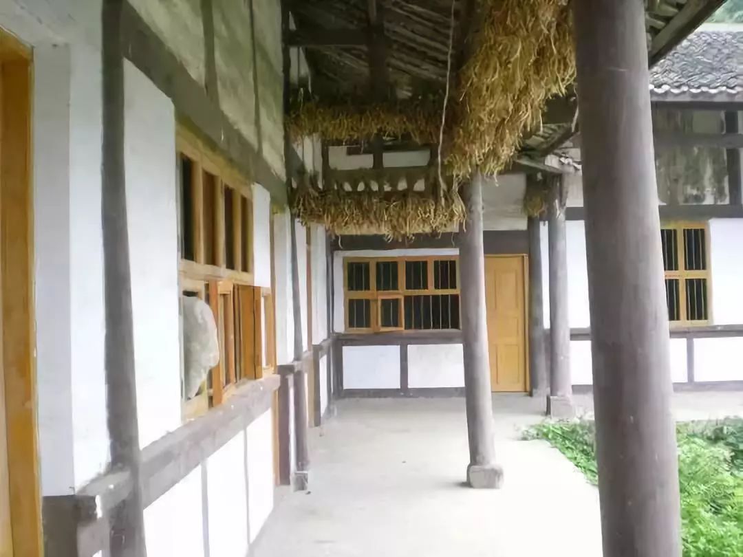 邱秋四川广安哪里人,湖广填四川邱姓氏分布