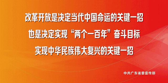 桂城标准泳池,佛山桂城有个泳池