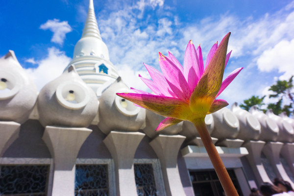 曼谷芭提雅精华景点,曼谷芭提雅双人套餐