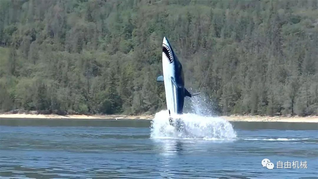 大玩家——2018娱乐机械年度评选丨50~100万+元篇