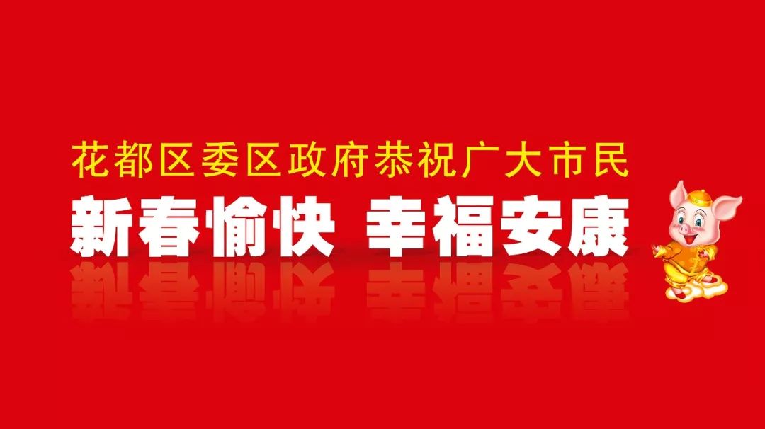 广州年花年桔收集地点,年桔年花废物利用