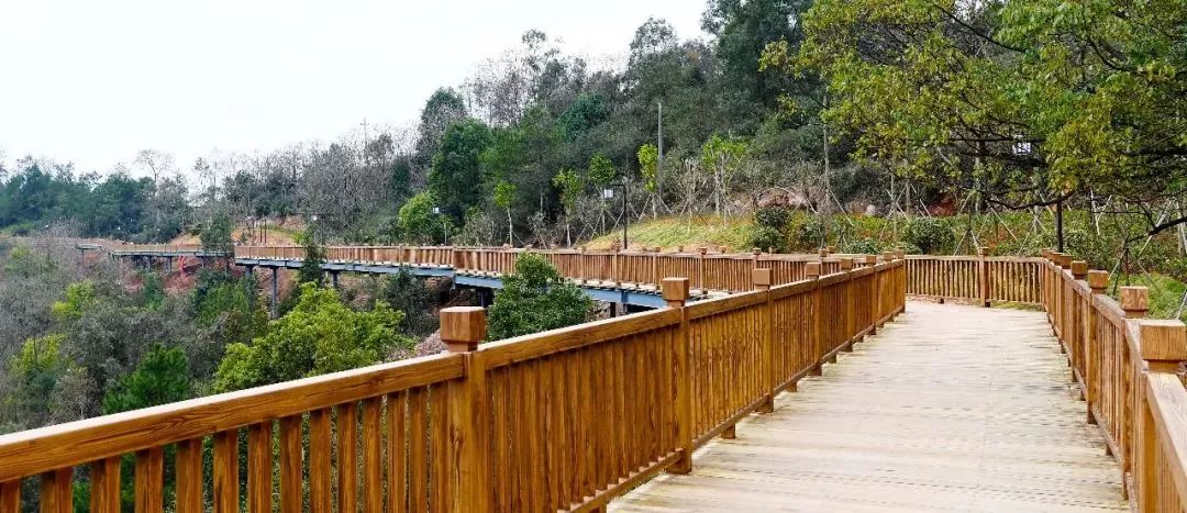 赣州开放公园景区,赣州景区关于开放的通知