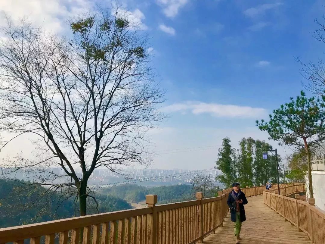 赣州开放公园景区,赣州景区关于开放的通知