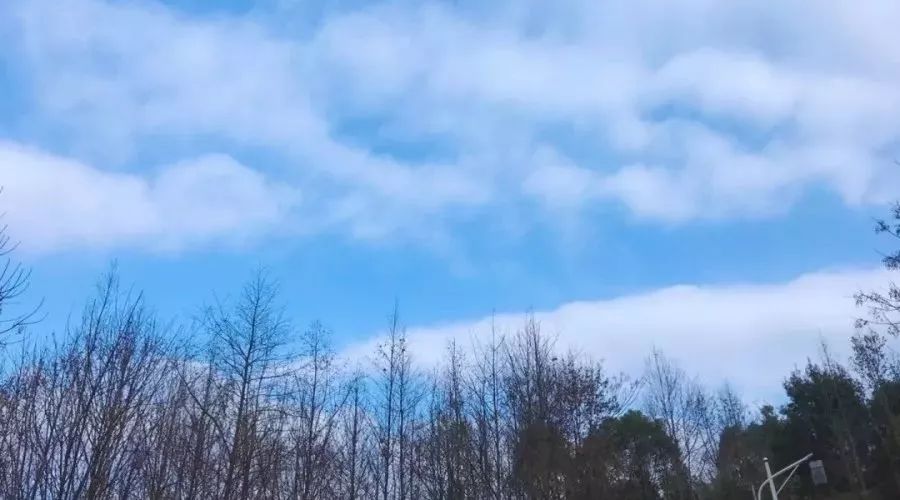 赣州最好玩的公园不要门票,离赣州最近的森林公园还有多远