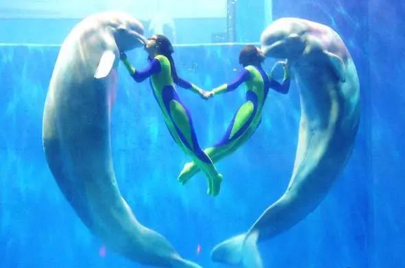 收藏哈尔滨,哈尔滨市道里区收藏东西的实体店