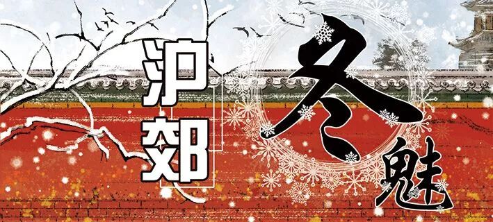 沪郊冬魅｜寒冬岁杪，清供一盆馨香，又到一年水仙时