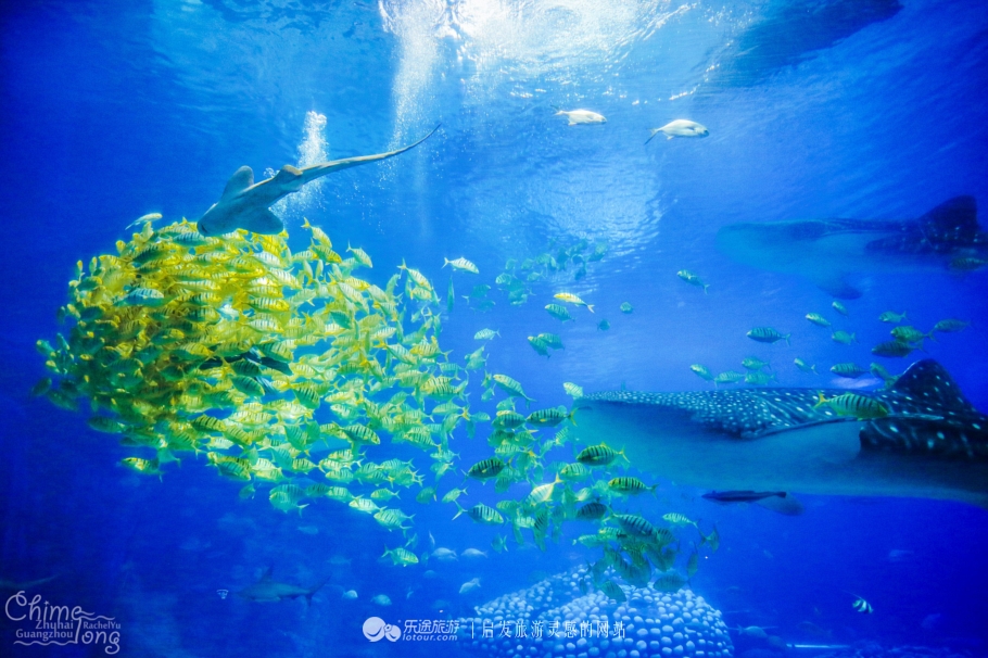 这家乐园位于内地,却吸引众多香港人和澳门人