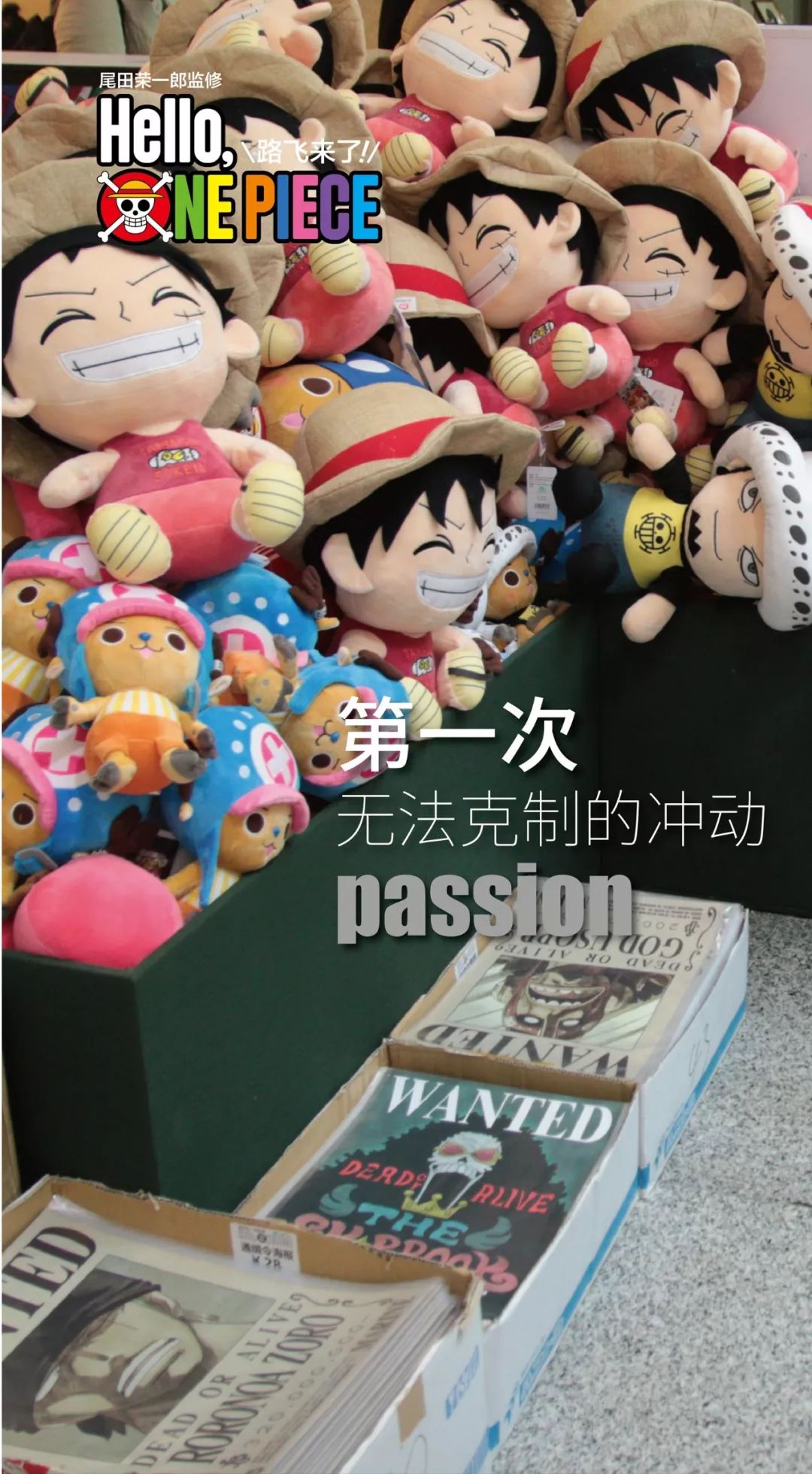 上海2016年海贼王展览,2019年上海海贼王展览