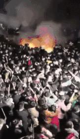 人从众第四个字怎么念,人从众什么意思