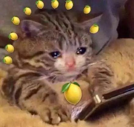 最贵的玫瑰花2000块一朵,最贵的玫瑰花花束