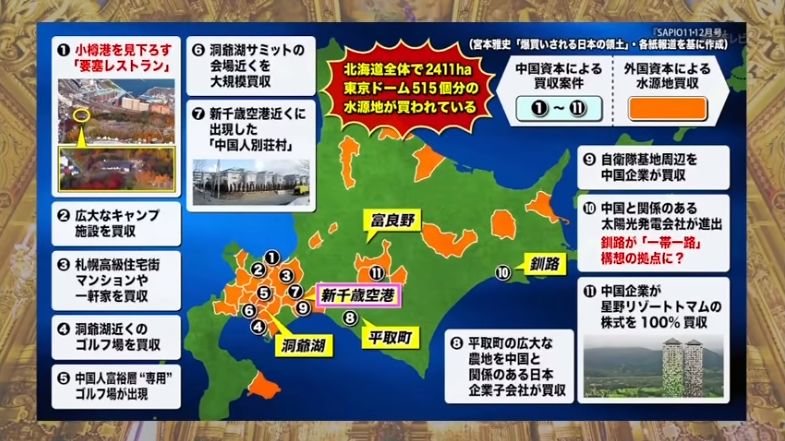 日本购买奢侈品包包全新,日本最新高端奢侈品包包