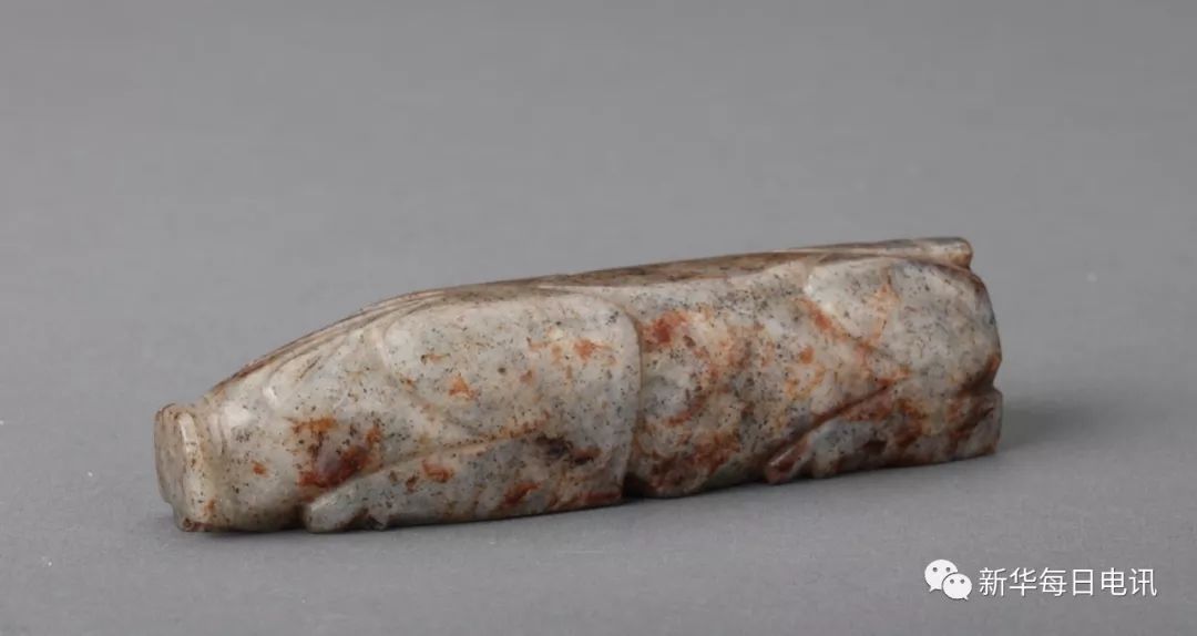 猪年的吉祥物叫什么,寻找鼠年吉祥物