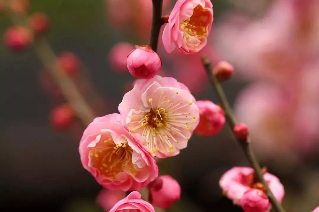 假期没玩够文旅,春节假期没有好好享受