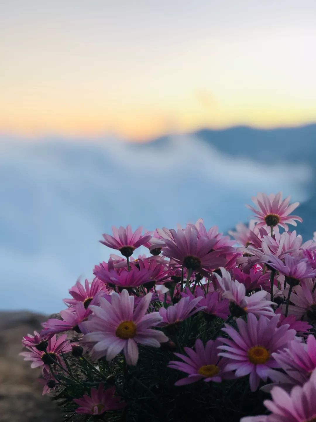 我为什么爱去旅游,为什么我爱一个人旅游