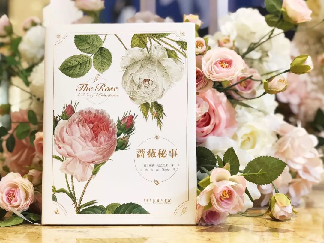 情人节想要给你永不褪色的浪漫,情人节送给彼此的浪漫