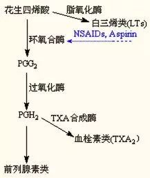 你真的认识海参吗,你真的认识吕秀才吗