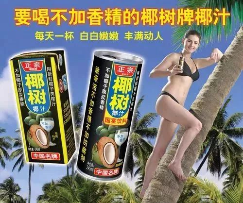 海南椰树集团品牌,椰树集团的品牌