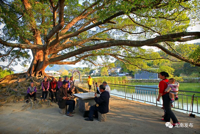 这几条骑行路线美到爆，赣州的小伙伴们一起去春游吧！