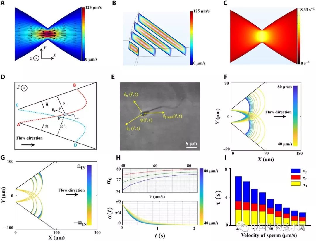 优胜劣汰！女性生殖道的“自然选择”