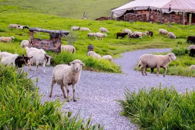 刷新你的世界观！国内最受欢迎的顶级野奢酒店，美到极点奢华到极致！享受质感生活，选这儿准没错！