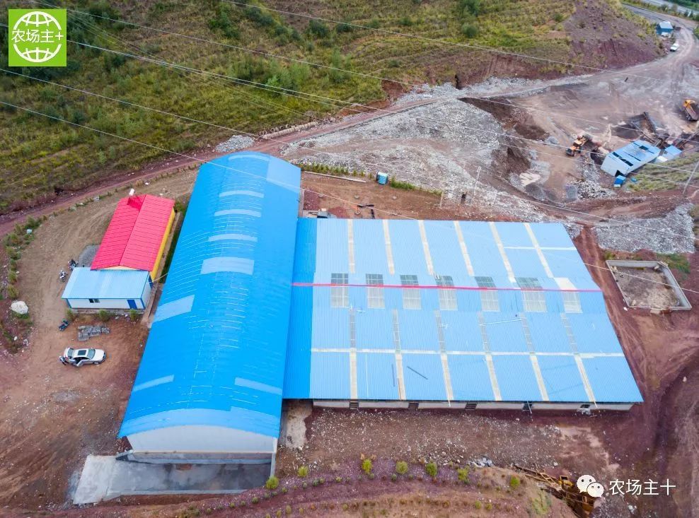 青春因创业而美丽人生因奋斗而精彩——记肃南县桦树林生态养殖农民合作社李雪云