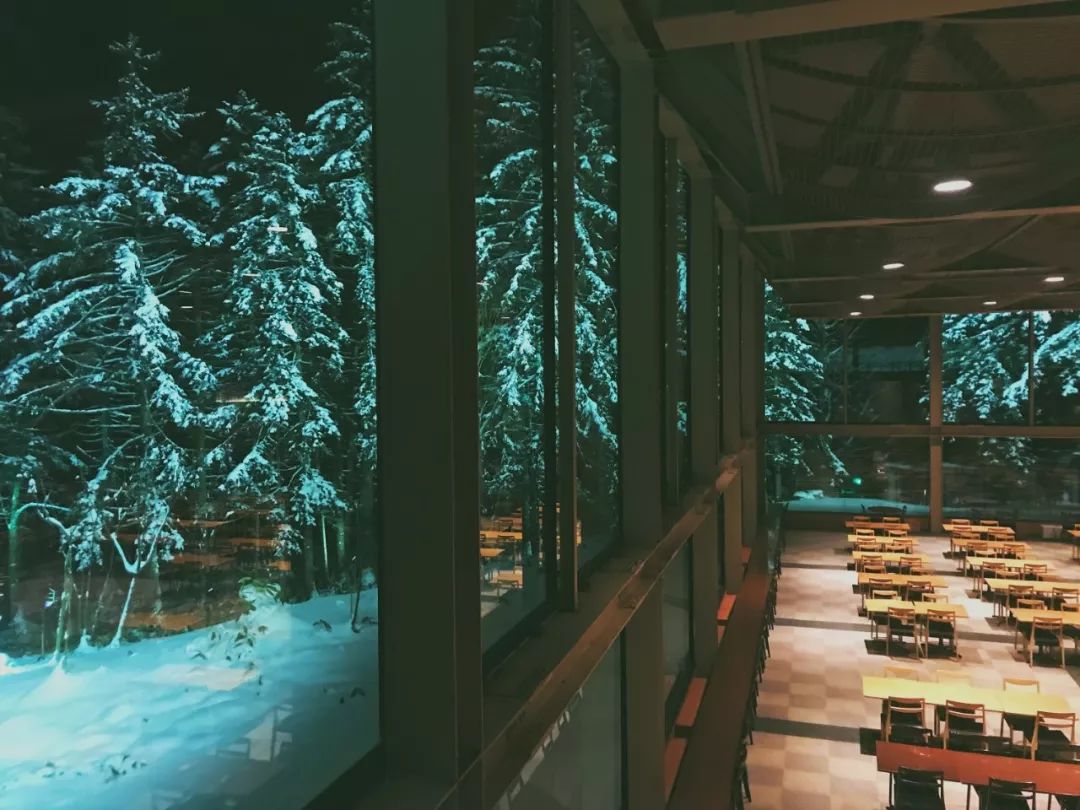 跟台湾小哥哥一起骑着雪地摩托车在北海道的雪地里野