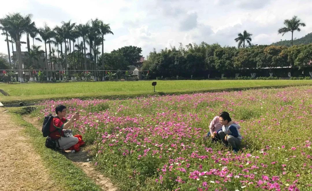 去日本从哪里出发最便宜,去日本从哪出发最便宜