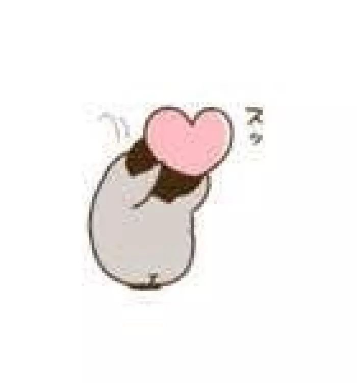 十二星座十二月脱单率,十二星座女生脱单指南