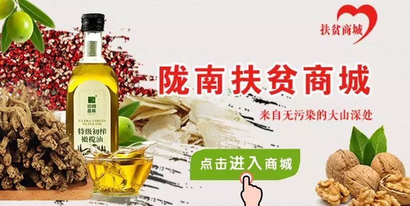 陇南西和巾帼展风采撑起半边天,女神来了超清免费看