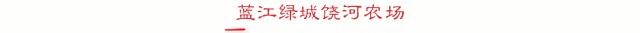 饶河农场幼儿园,饶河向阳幼儿园