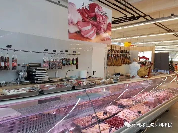 移民匈牙利的普通华人过得好吗,匈牙利布达佩斯唐人街视频