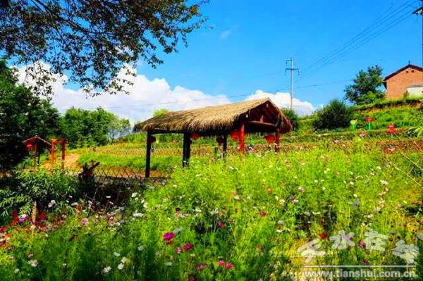 2017年清水县领导班子,清水县乡镇各党委书记