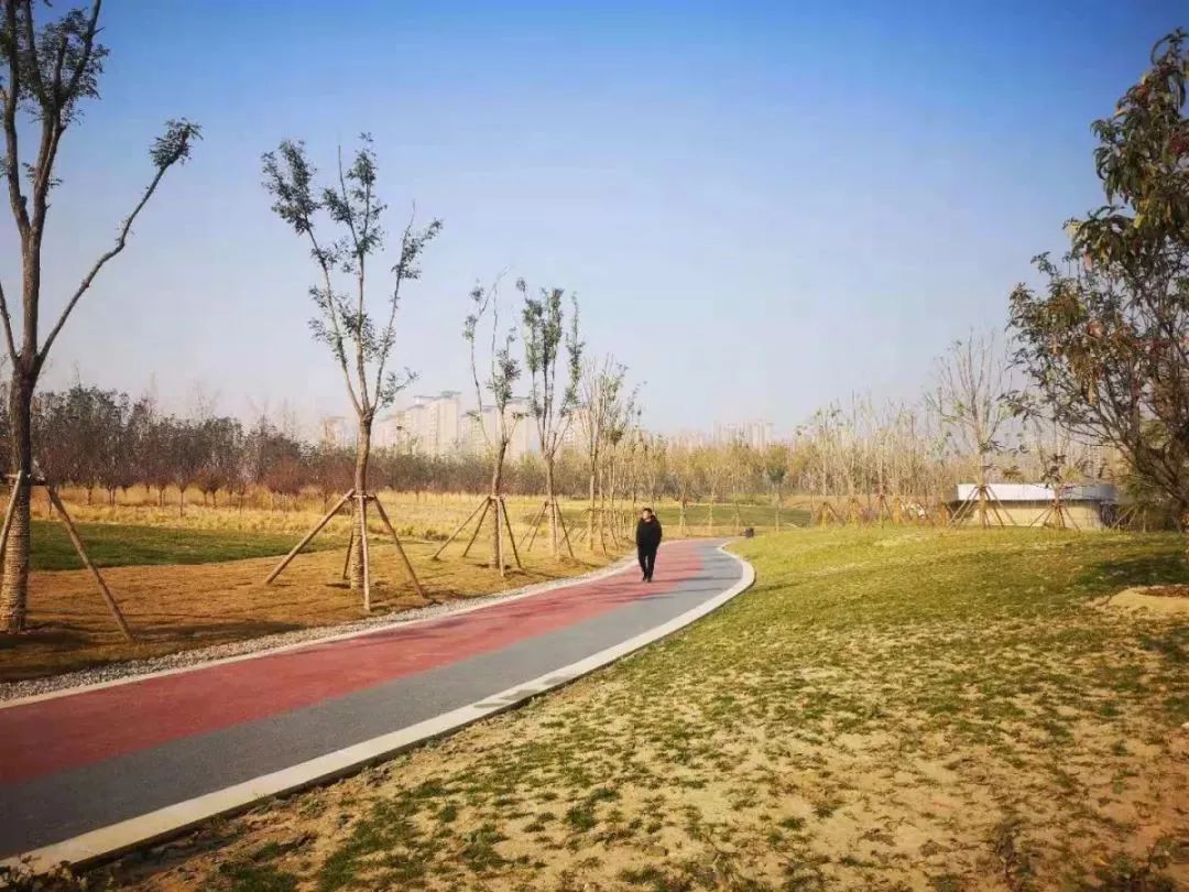 郑州适合骑车去玩的地方,郑州周边适合骑行的公园