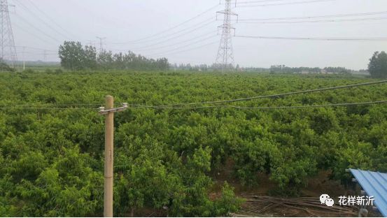 青年创业贷怎么申请,三年无息创业贷如何申请