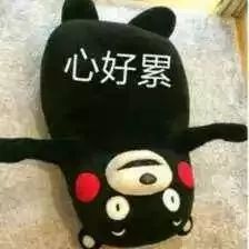 买一个gucci包包,第一只chanel包