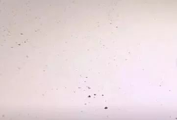 回南天湿气太重怎么办,回南天湿气入侵