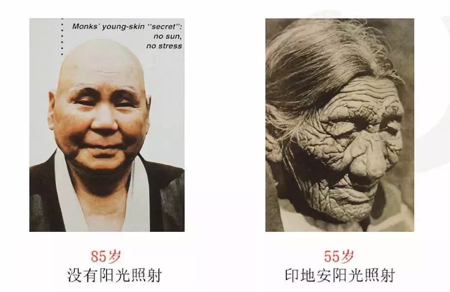 明星们都在用的平价防晒,平价好用又大瓶的防晒