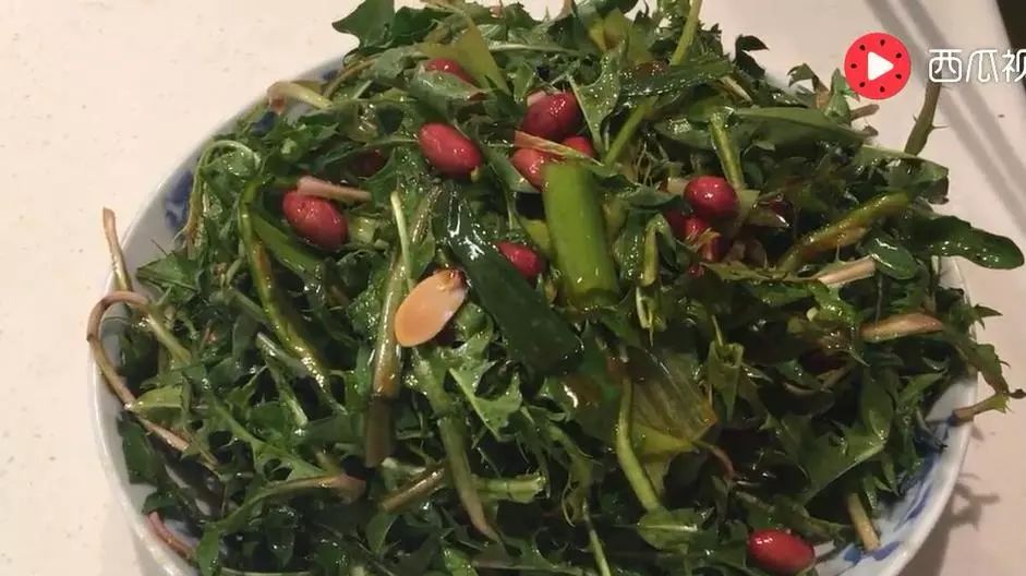 五种健康野菜常食养生,春天必吃的10大黄金野菜