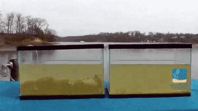 你见过企鹅破壳的瞬间吗,你见过企鹅下蛋吗