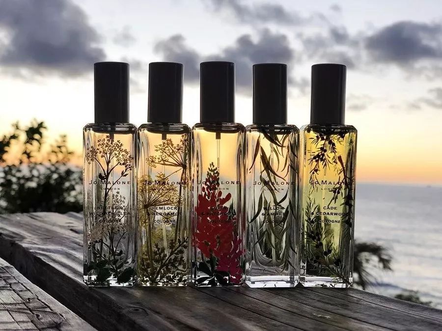 2019春装新品,春款上新简单大方时尚款