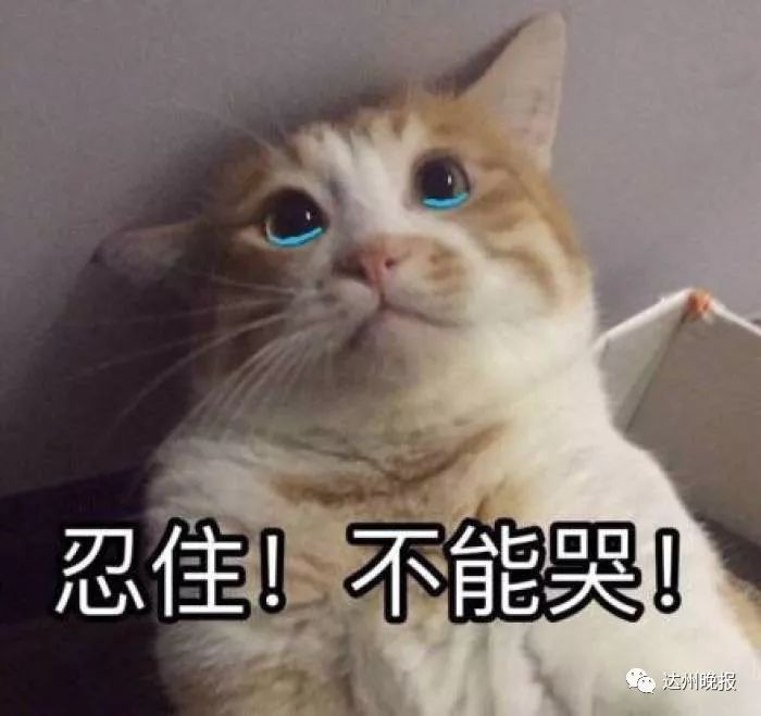 1岁幼童被烫伤还未脱险,1岁小孩被热稀饭烫伤怎么处理