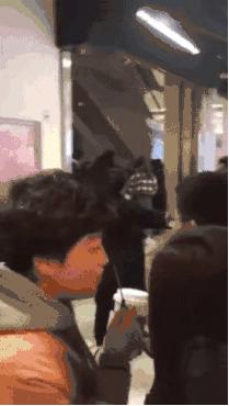 涓轰簡鏄熷反鍏嬬尗鐖澂閫氬鎺掗槦,鏄熷反鍏嬬尗鐖澂娣卞鎺掗槦鐤姠