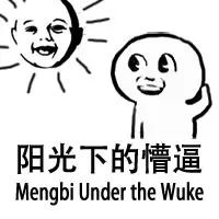 伪装MIT学霸，Ins盗图发博，求求这位戏精妹子别再给留学生招黑了