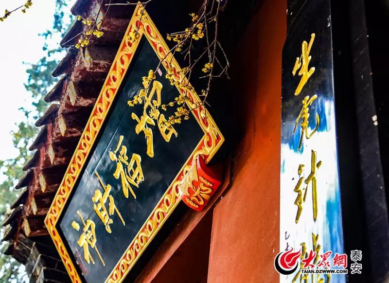 泰山山东景区门票降价,泰山景区门票优惠政策