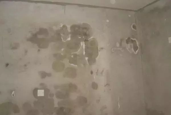 家里墙壁发霉别再傻傻花钱重刷,家里墙发霉了怎么办有危害吗