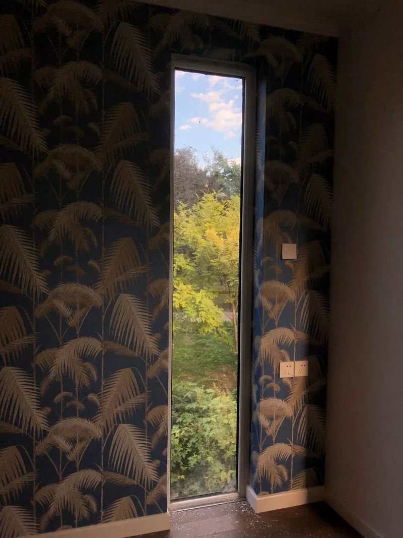 还买乌云壁纸呐？！他家藏着海外小众壁纸大全