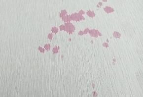 卫生间到底有多脏,卫生间有异味教你一招清理