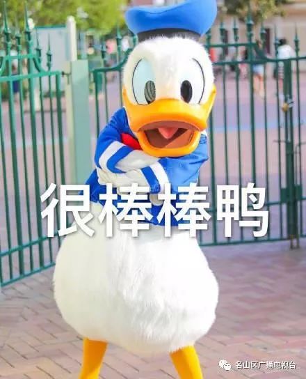 预告｜3月1日，cctv-2要直播名山哦……