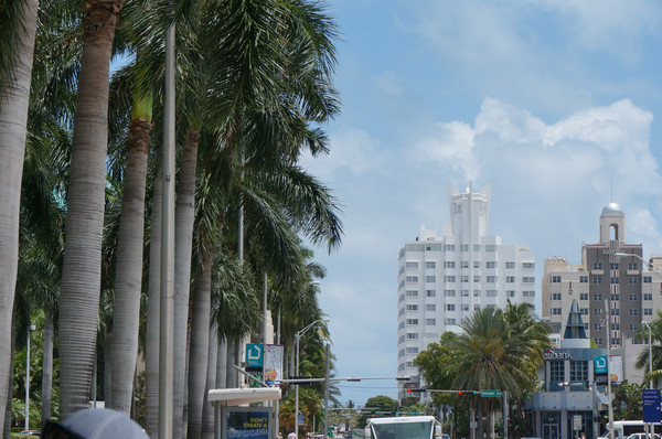 老人旅行欧洲,12位老人游上海